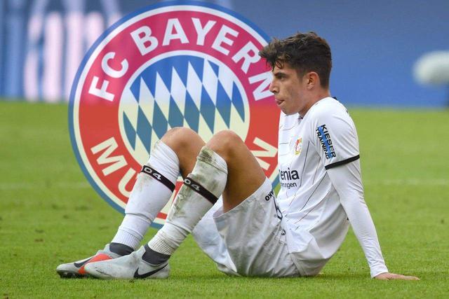  勒沃库森青年军崭露头角